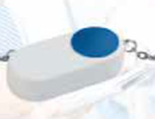 capsule2