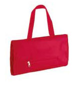 carry2